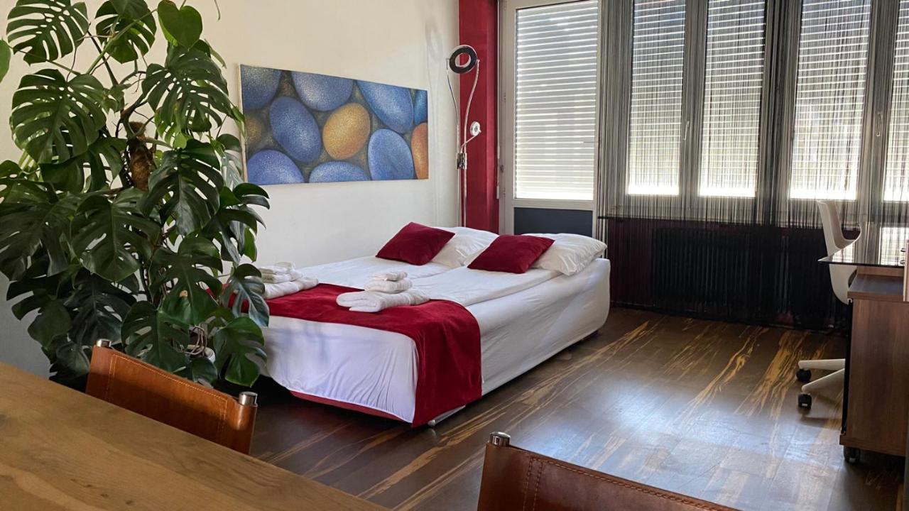 Special Retreat Apartment & Home-Office & Workplace バーゼル エクステリア 写真