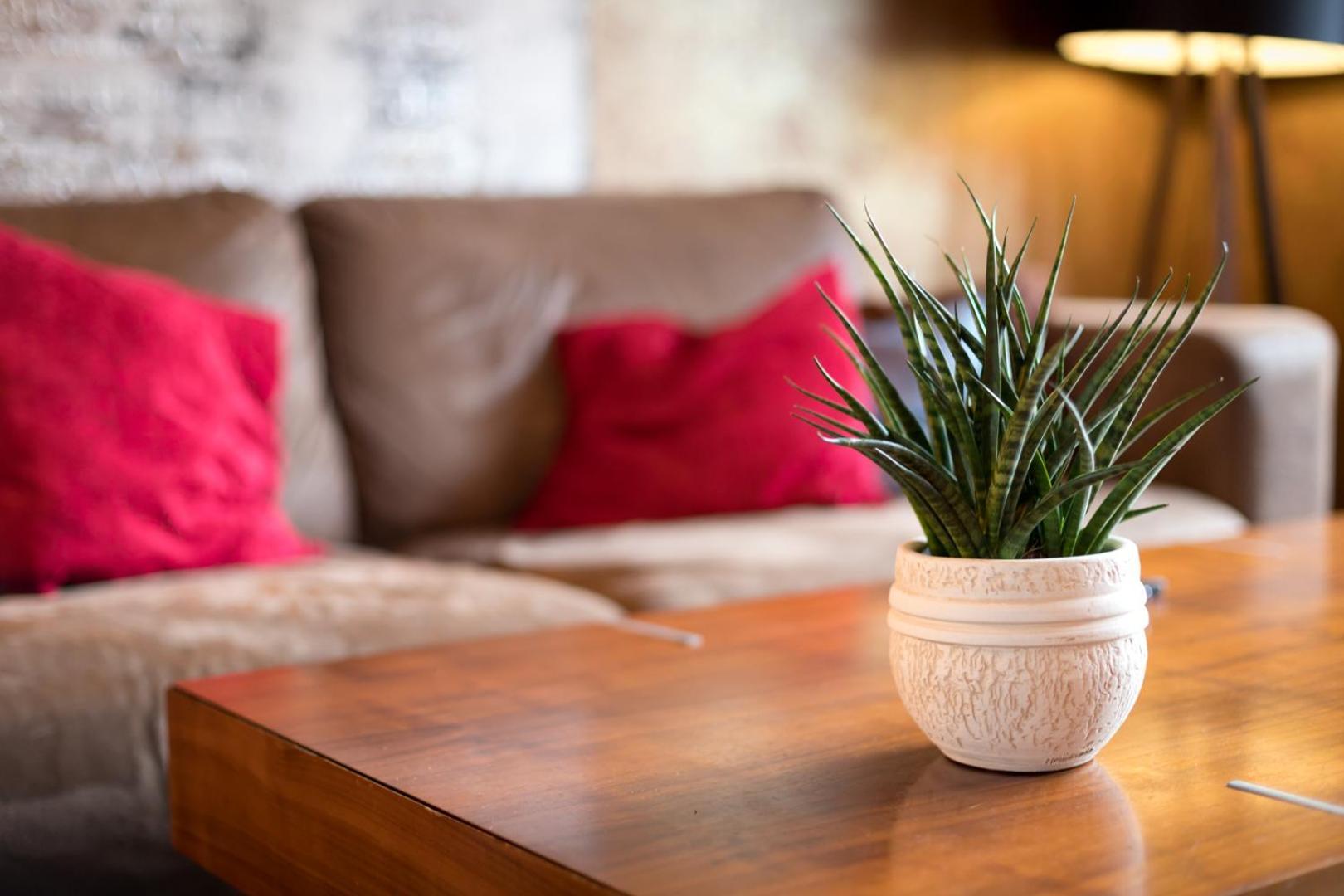 Special Retreat Apartment & Home-Office & Workplace バーゼル エクステリア 写真